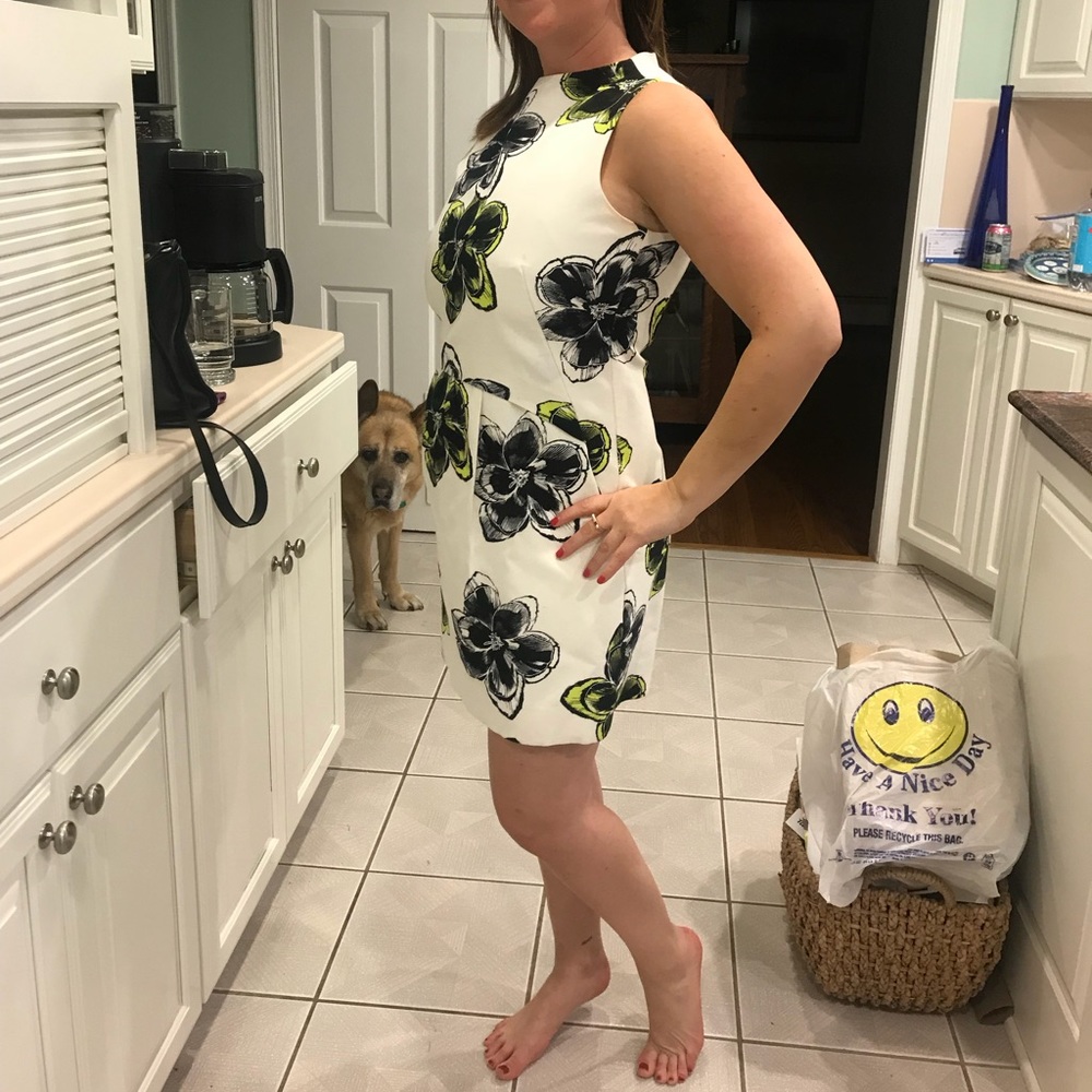 Floral Milly shift dress size 8